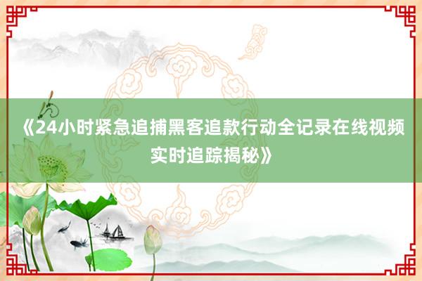 《24小时紧急追捕黑客追款行动全记录在线视频实时追踪揭秘》