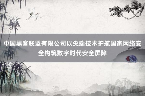 中国黑客联盟有限公司以尖端技术护航国家网络安全构筑数字时代安全屏障