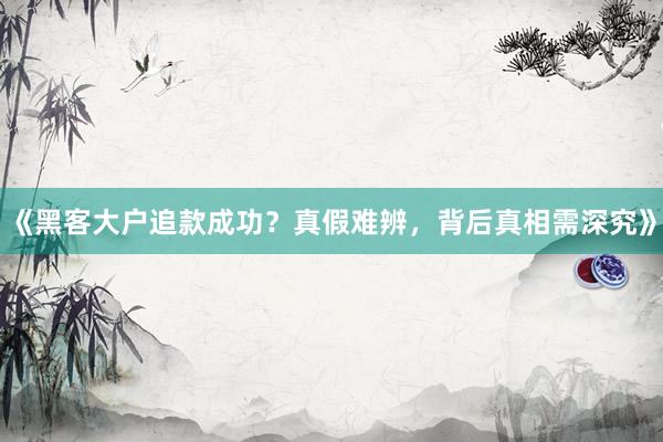 《黑客大户追款成功？真假难辨，背后真相需深究》